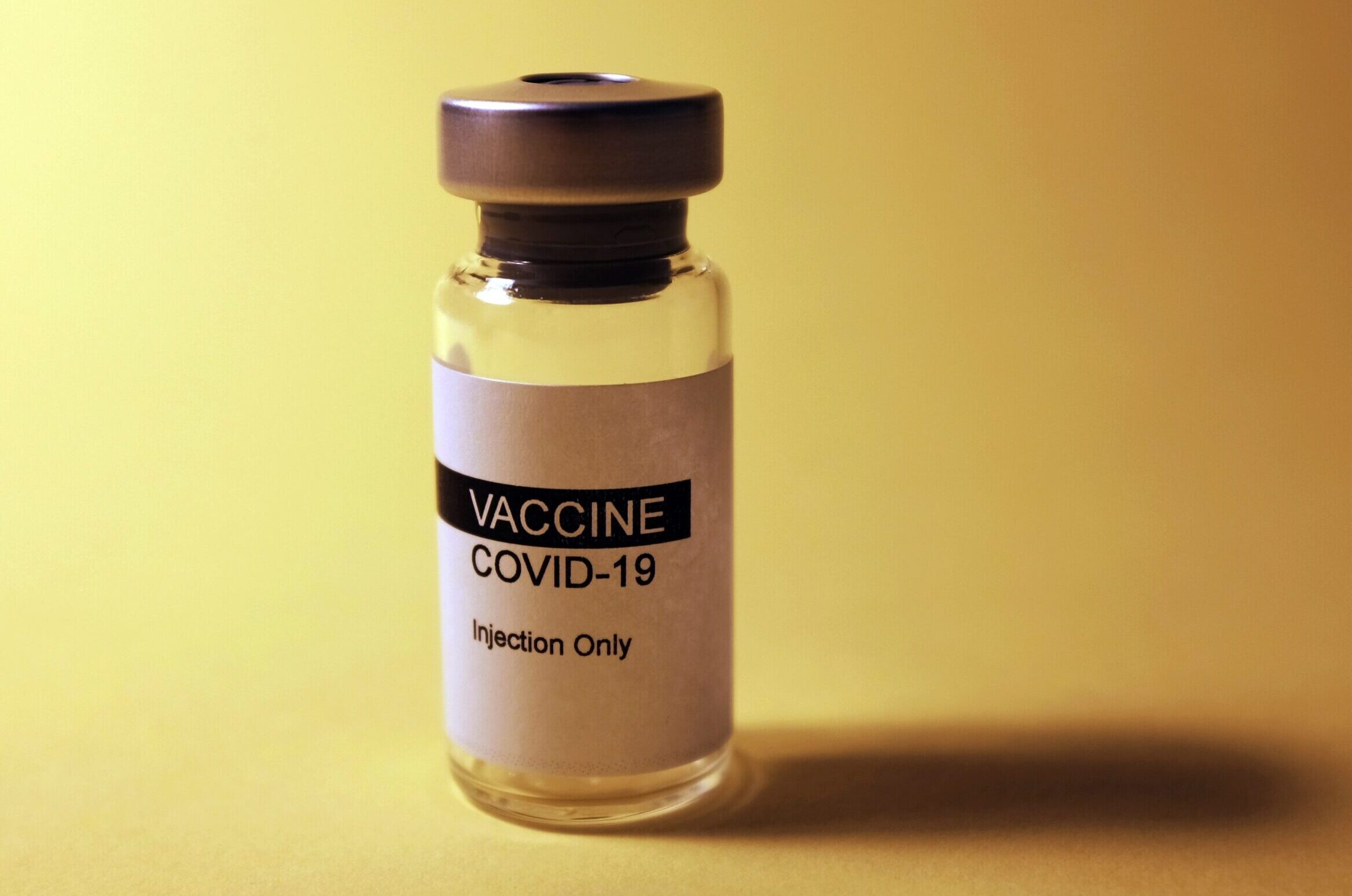 New Vaccine Data Brief Released – August 2022
